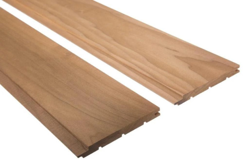 Канадский кедр